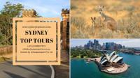Sydney Top Tours  image 1